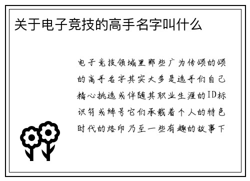 关于电子竞技的高手名字叫什么
